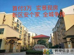 首付3萬，新區(qū)安個家